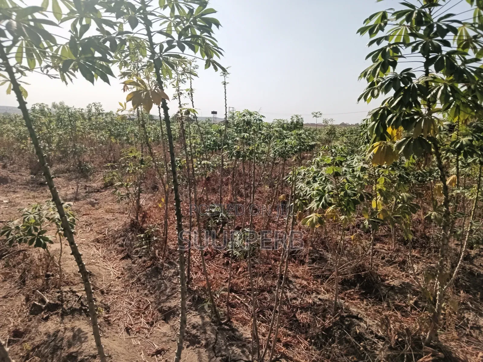 Land For Sale in Kutunku