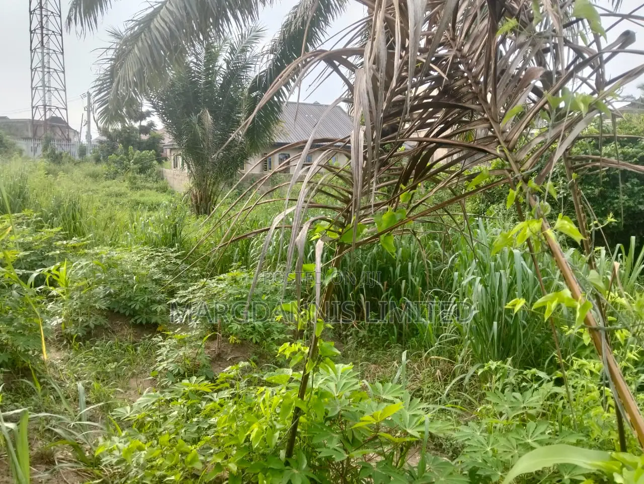 For Sale, a Plot of Land at Inward Oluodo, Ikorodu in Ibeshe / Ikorodu