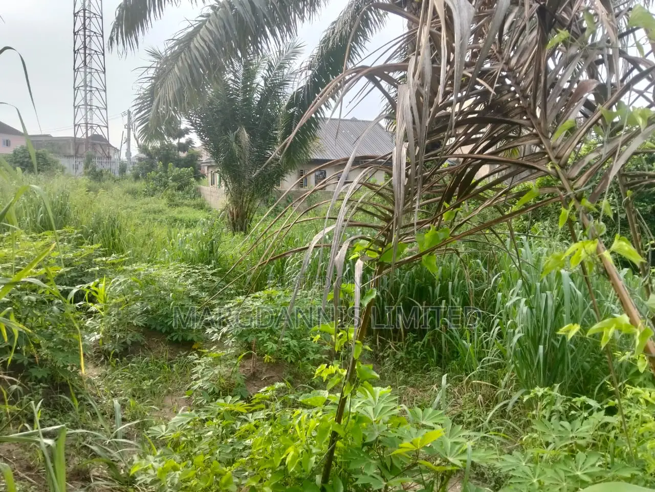 For Sale, a Plot of Land at Inward Oluodo, Ikorodu in Ibeshe / Ikorodu