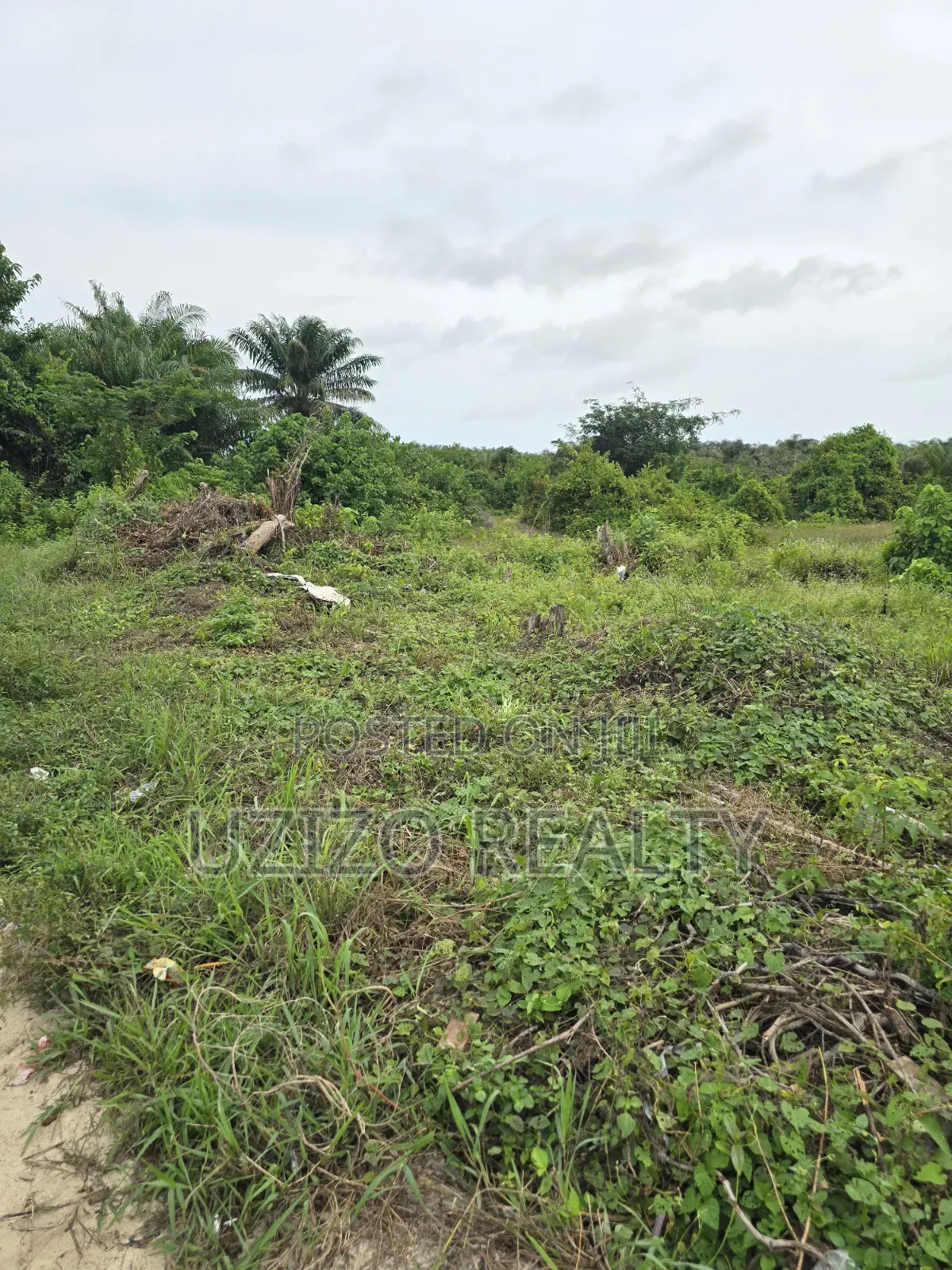 Corner Piece Dryland in Ajayi Apata in Sangotedo
