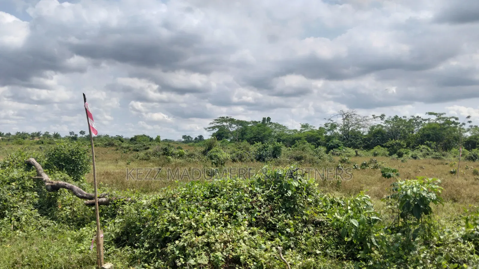 For Sale : 10 Plots at Banana Highland Estate Trans Woji in Woji