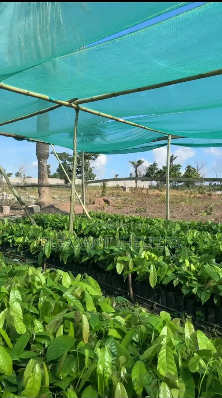 Coa Republiq - Cocoa Farmland For Sale in Obafemi-Owode