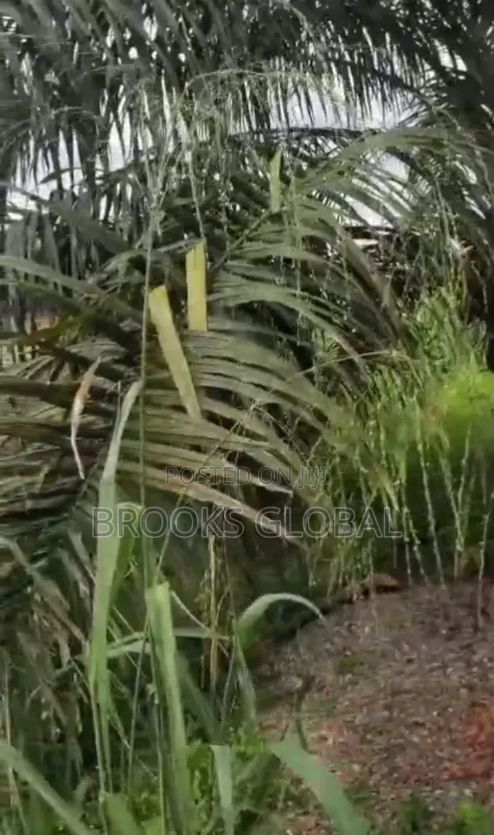 A Plot of Land at Evidence Isiohor for Sale in Benin City