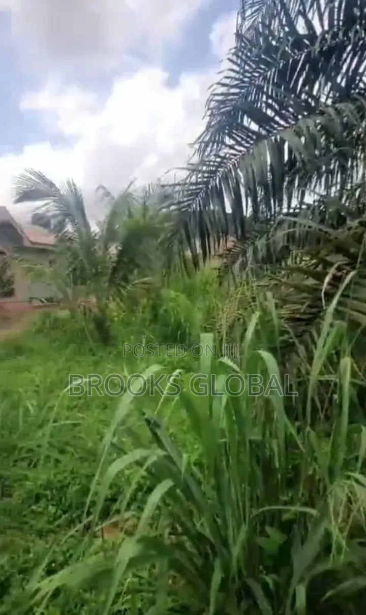 A Plot of Land at Evidence Isiohor for Sale in Benin City