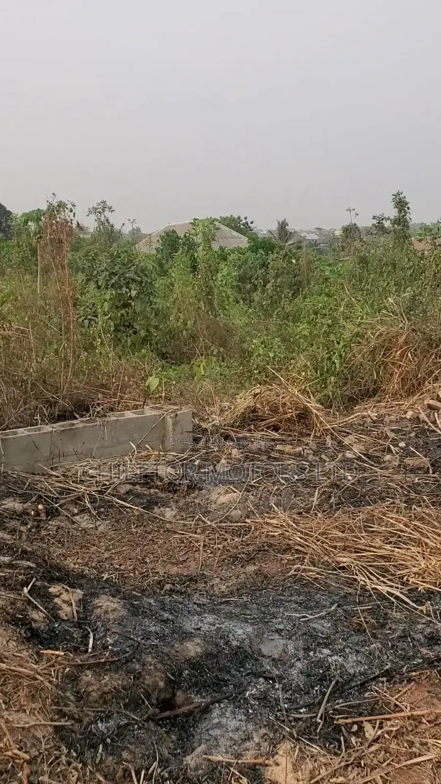 100/100 Plot of Land in Ofada Mowe Ogun State in Obafemi-Owode