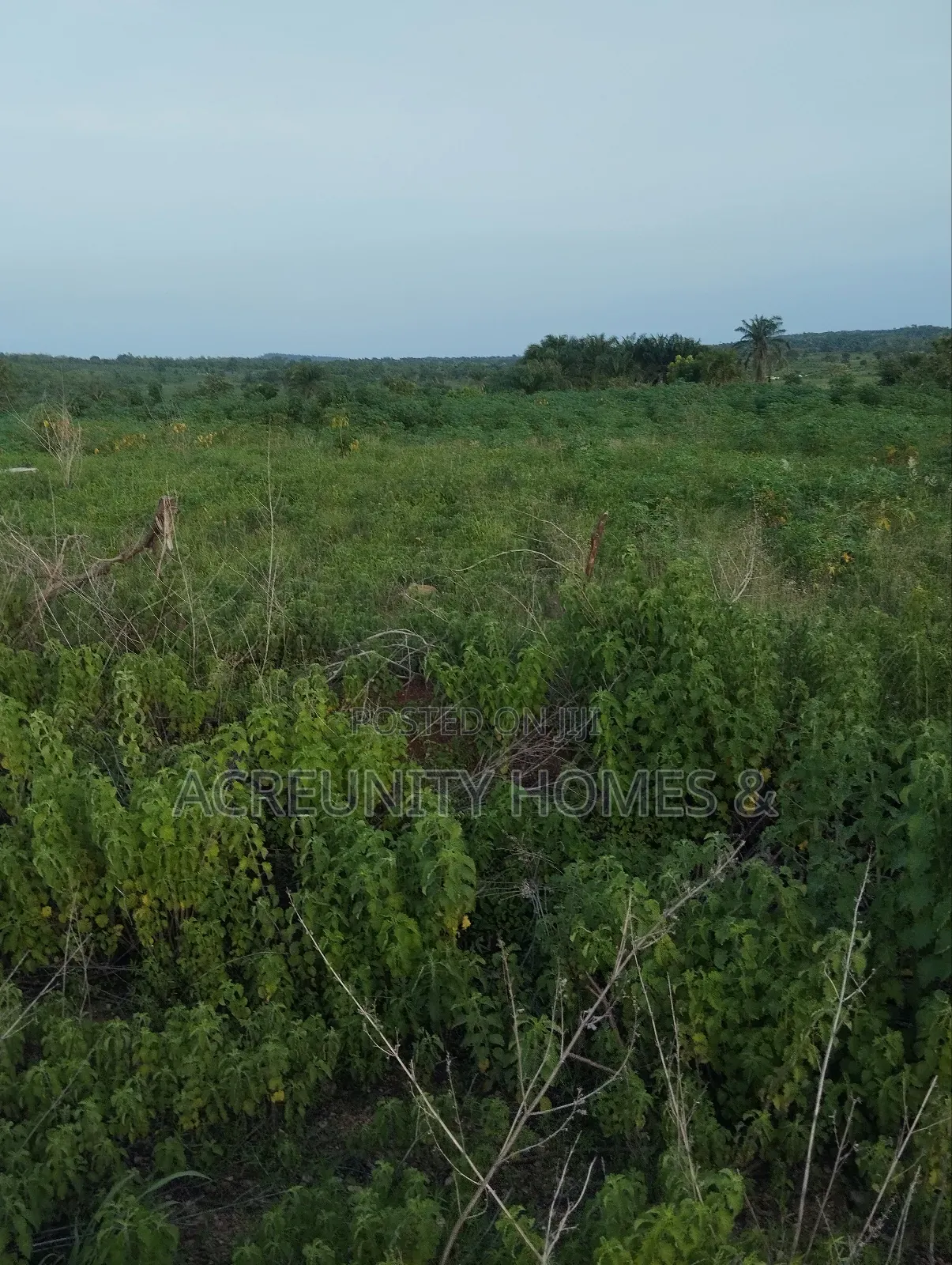 5 Acres of Land for Sale Off Sirafu Road Along Igunrin, Iseyin in Iseyin