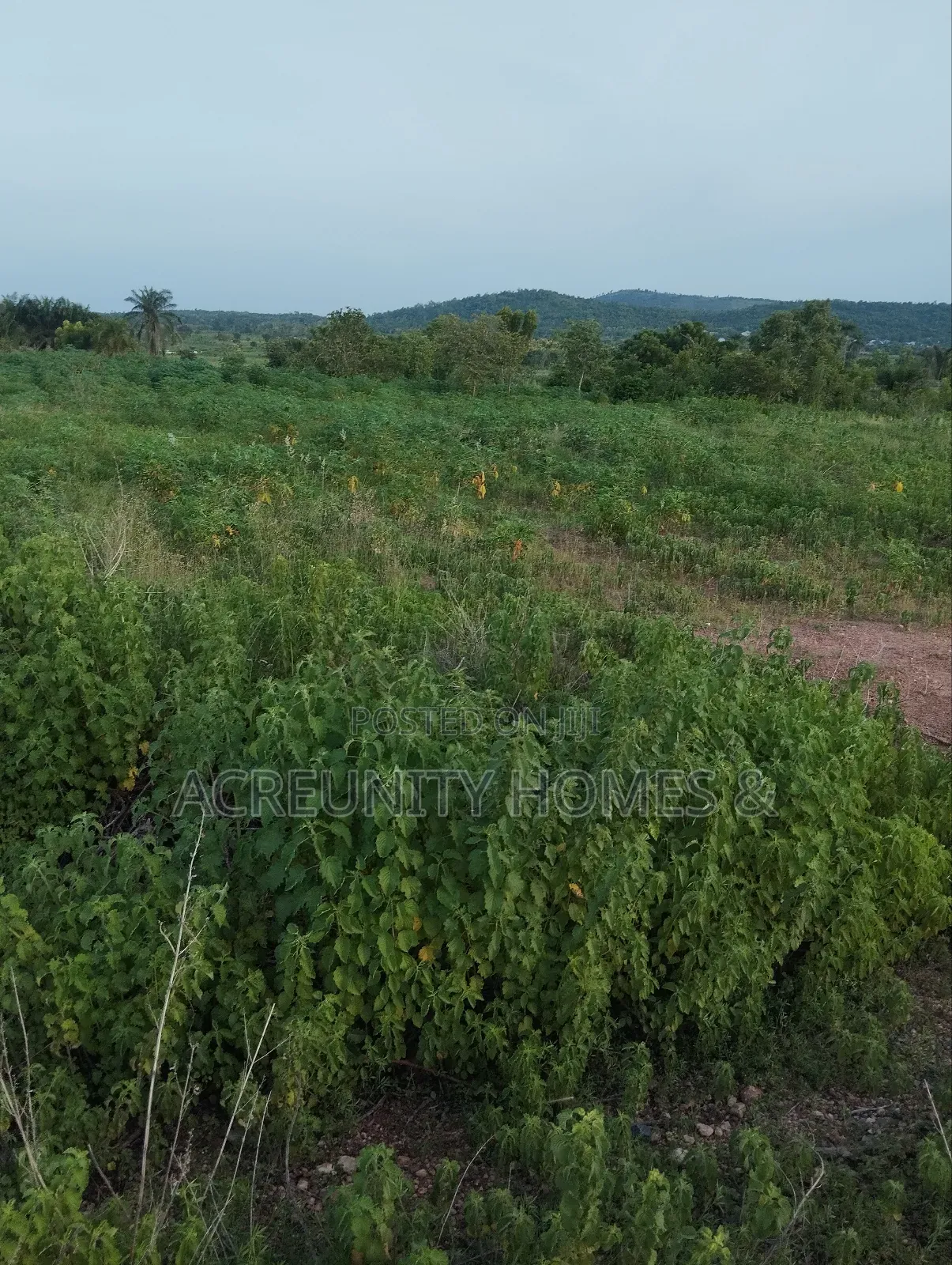 5 Acres of Land for Sale Off Sirafu Road Along Igunrin, Iseyin in Iseyin