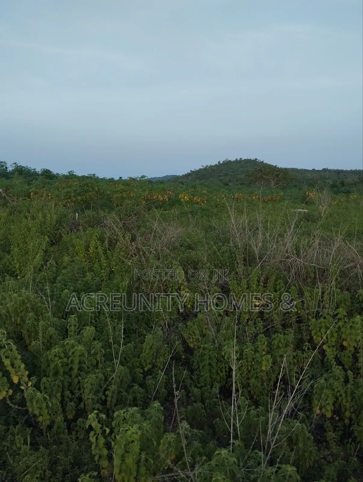 5 Acres of Land for Sale Off Sirafu Road Along Igunrin, Iseyin in Iseyin