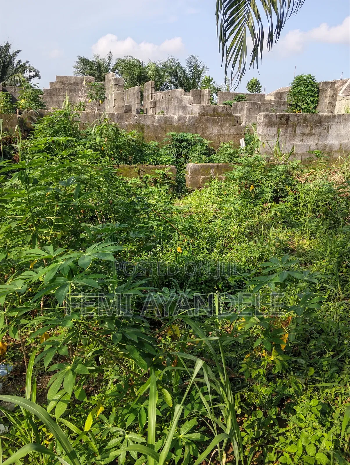 Wagbare Land in Igbogbo