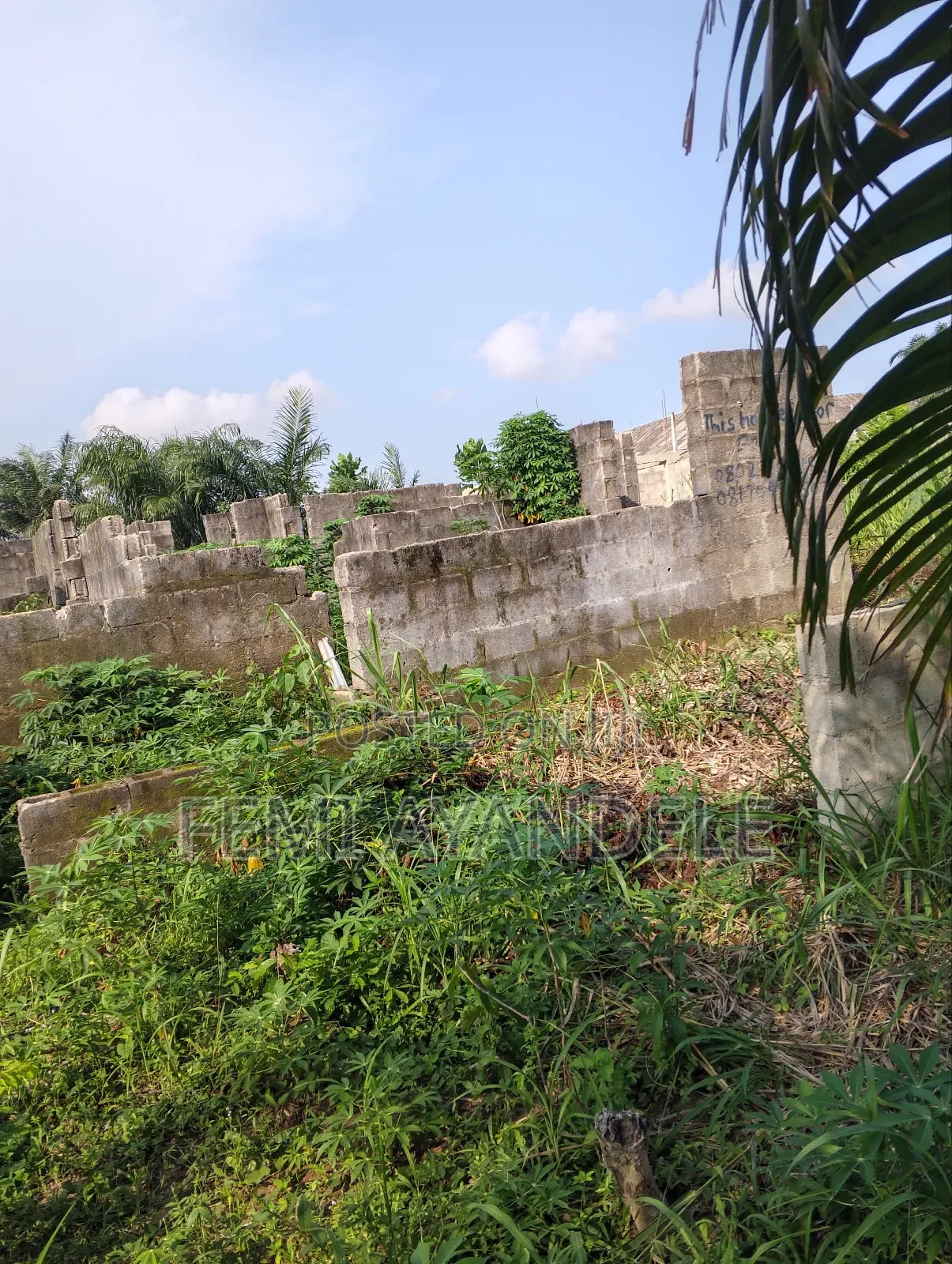 Wagbare Land in Igbogbo