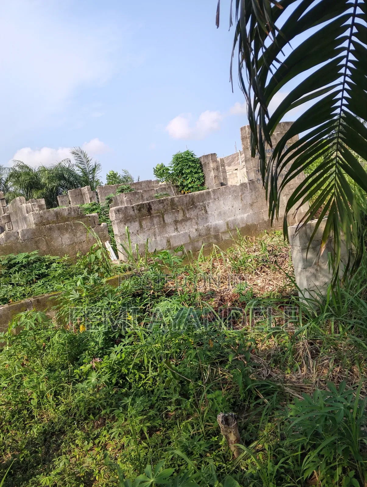 Wagbare Land in Igbogbo
