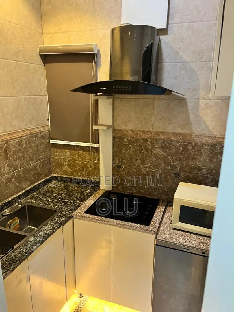 Furnished 2bdrm Block of Flats in Ikate Lagos for rent in Ikate