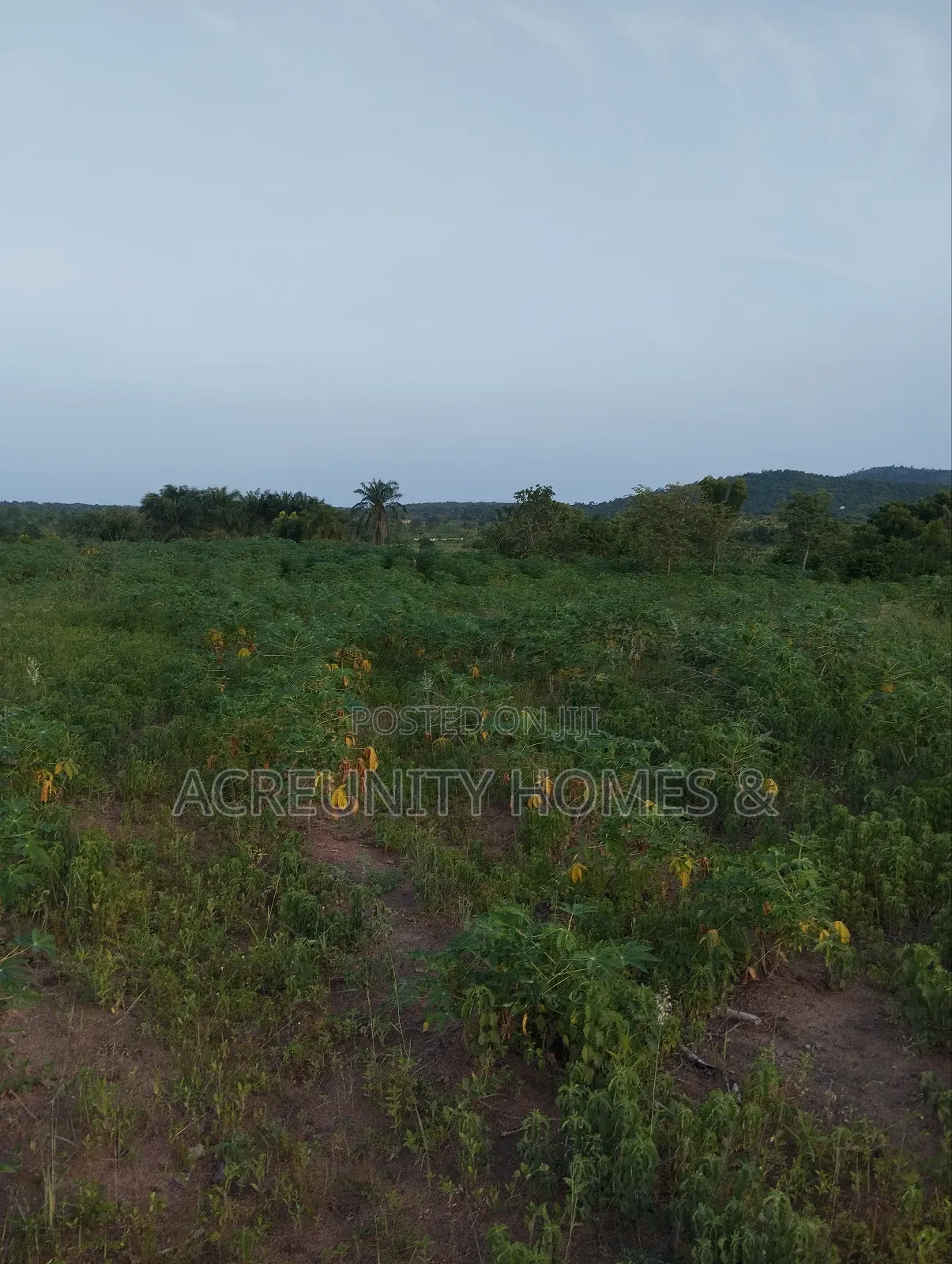 30 Acres Is Available at Sirafu Along Iseyin Ibadan Express Road in Iseyin