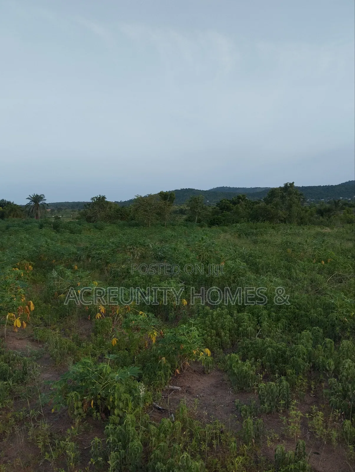 30 Acres Is Available at Sirafu Along Iseyin Ibadan Express Road in Iseyin