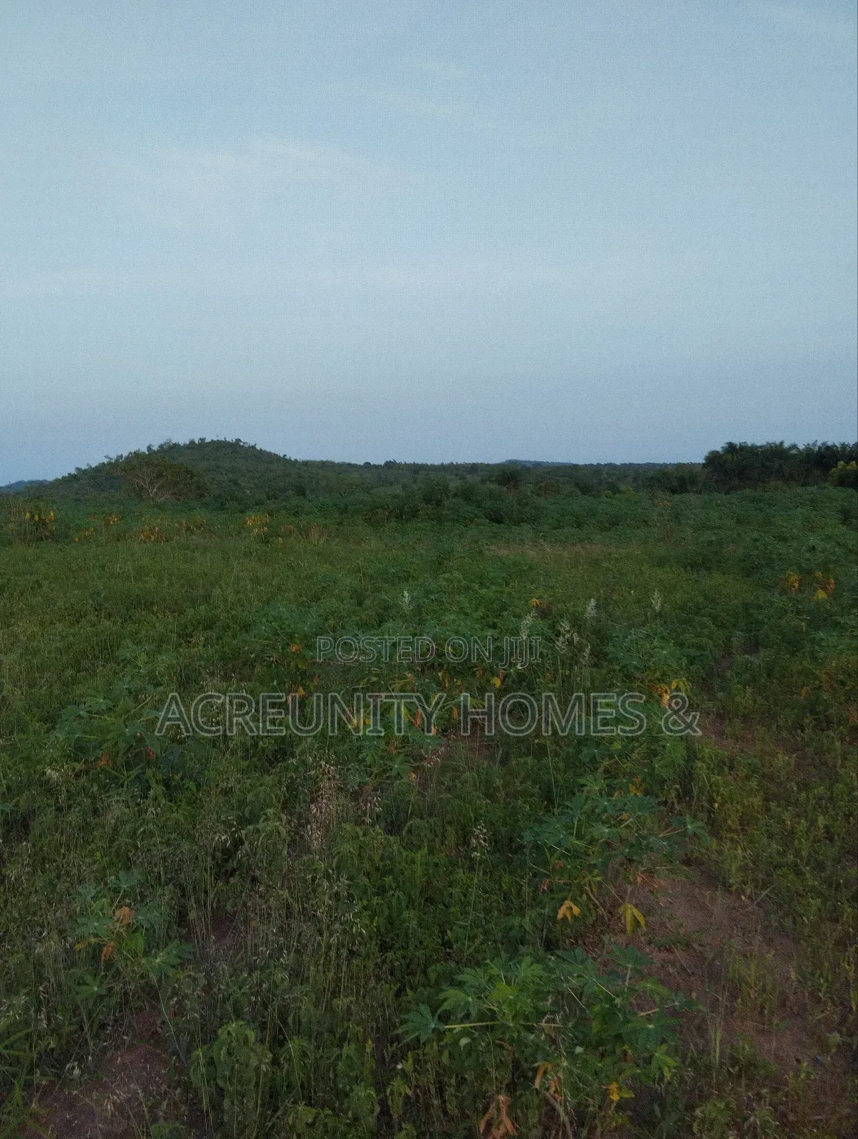 30 Acres Is Available at Sirafu Along Iseyin Ibadan Express Road in Iseyin