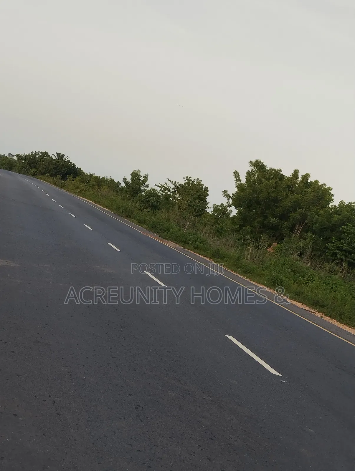 110 Acres of Fertile Farmland – Waasimi, Iseyin Local Govt, Oyo State in Iseyin