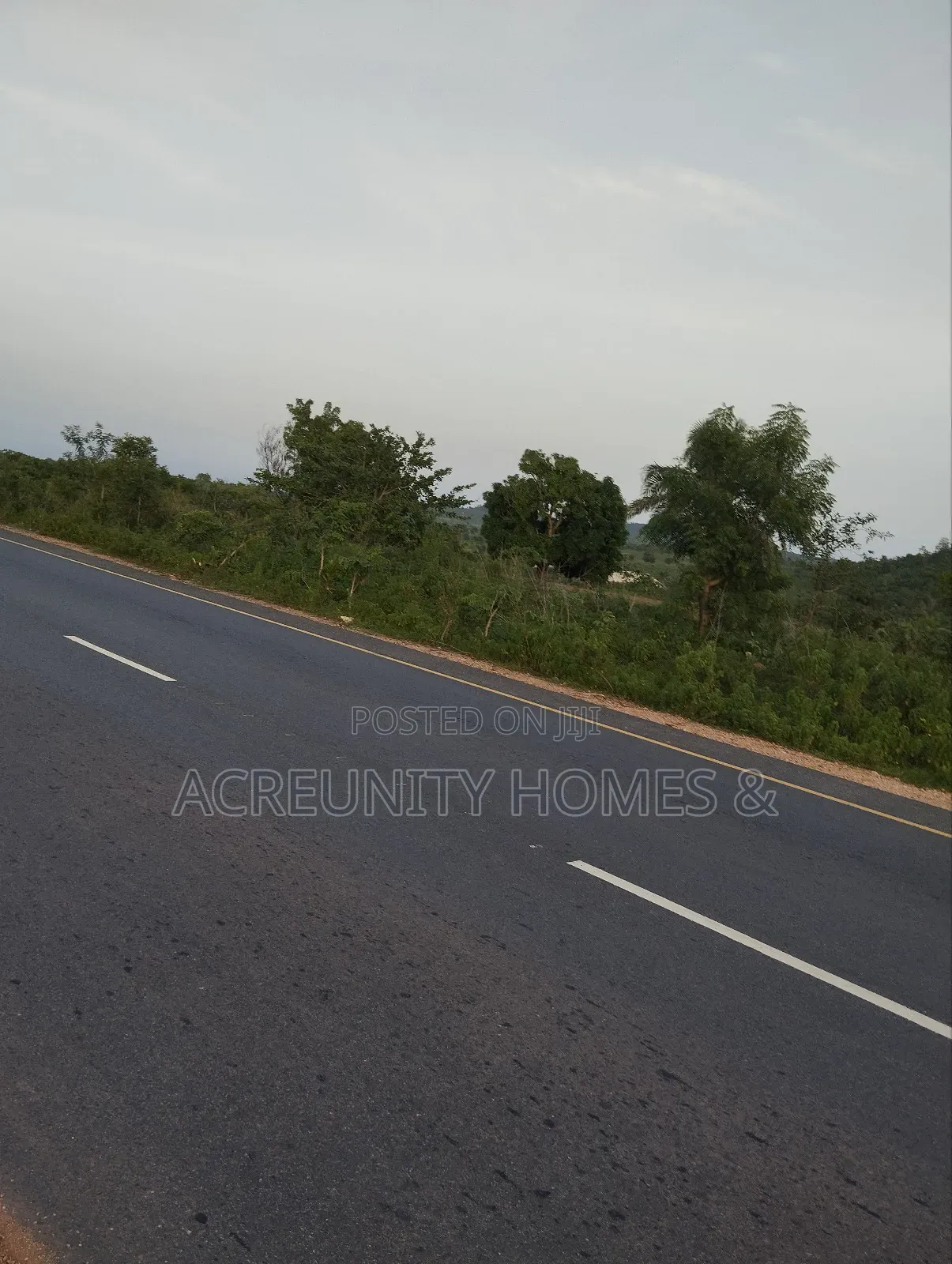 110 Acres of Fertile Farmland – Waasimi, Iseyin Local Govt, Oyo State in Iseyin