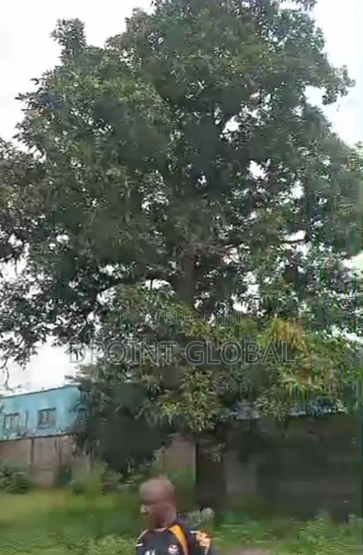 3482sqm of Land in Ikeja in Ikeja GRA