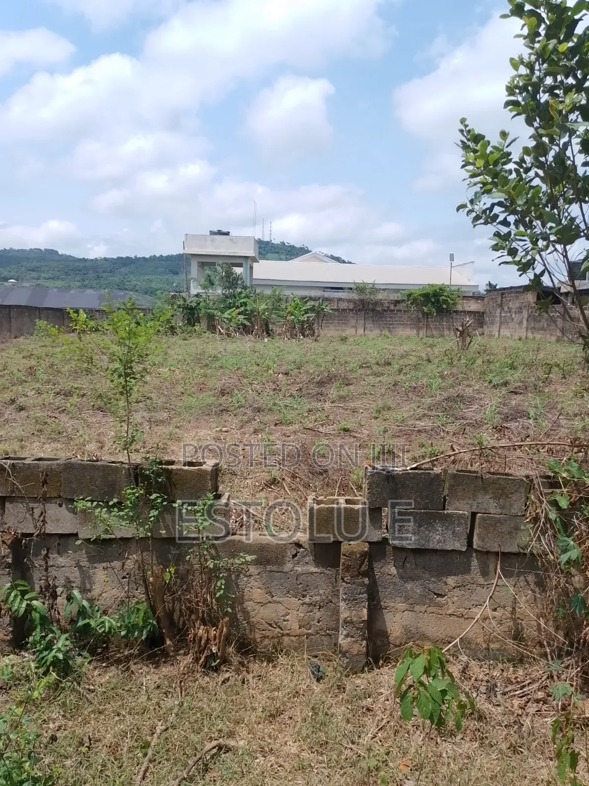 International Breweries Plot of Land in Ilesa