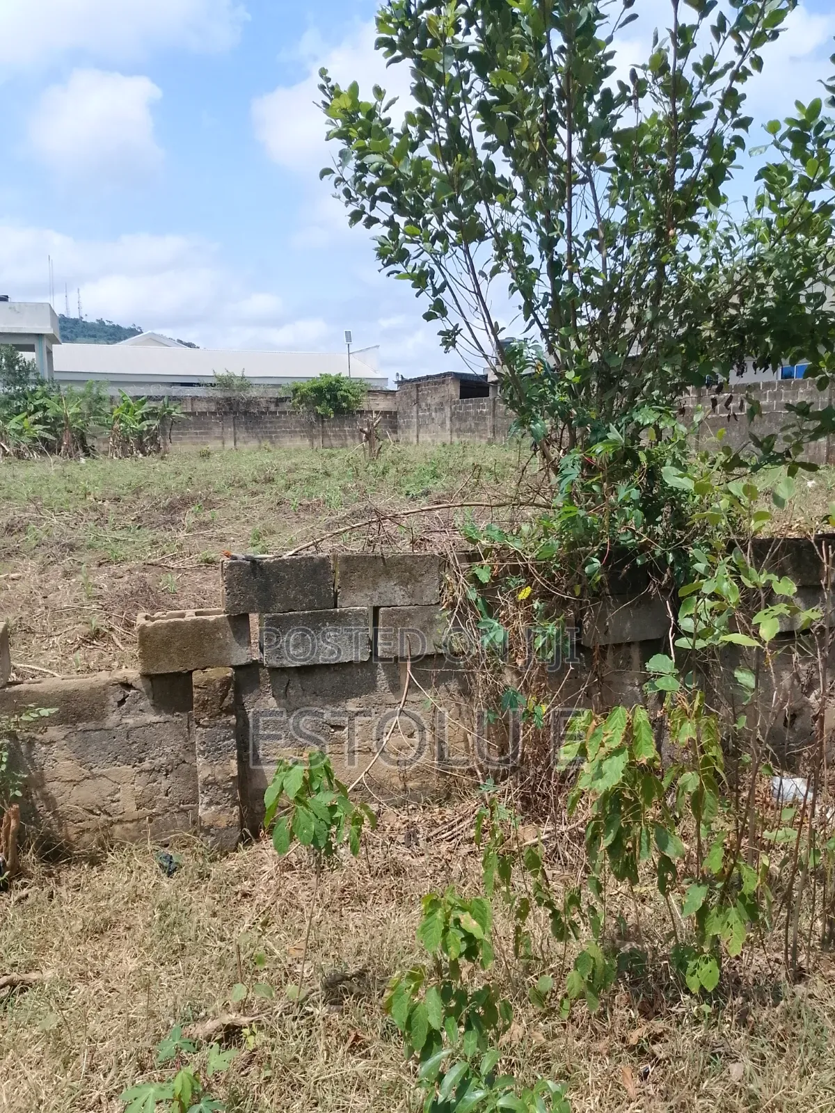 International Breweries Plot of Land in Ilesa