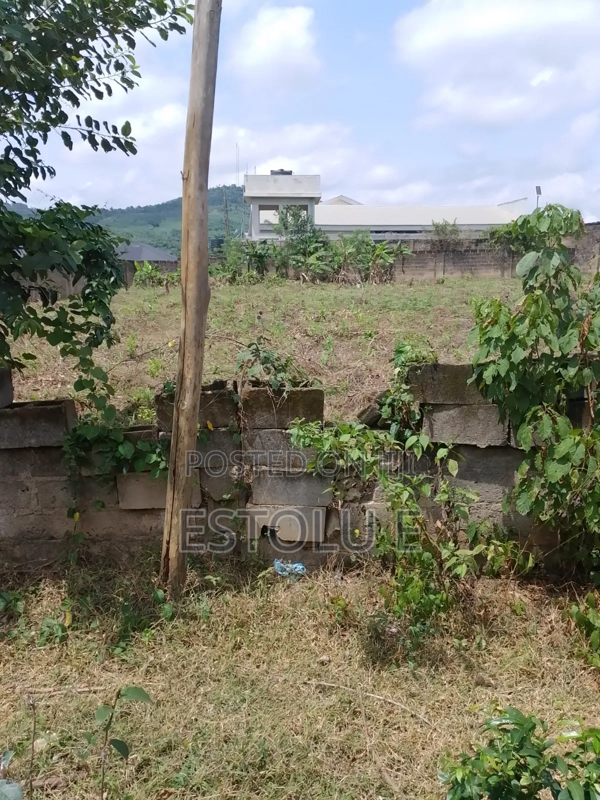 International Breweries Plot of Land in Ilesa