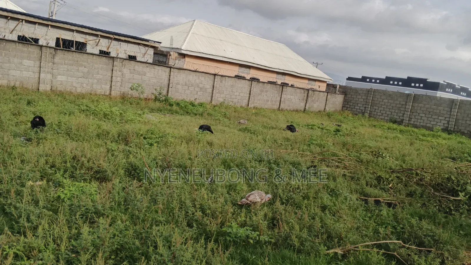 60/90sqm Land for Sale in Karu
