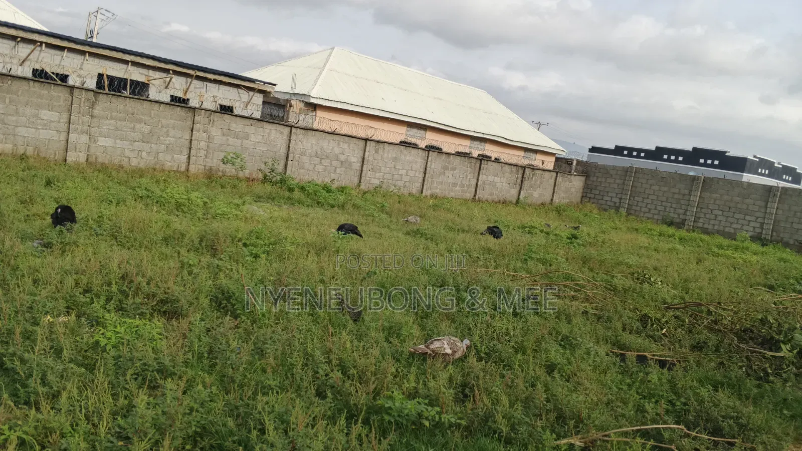 60/90sqm Land for Sale in Karu