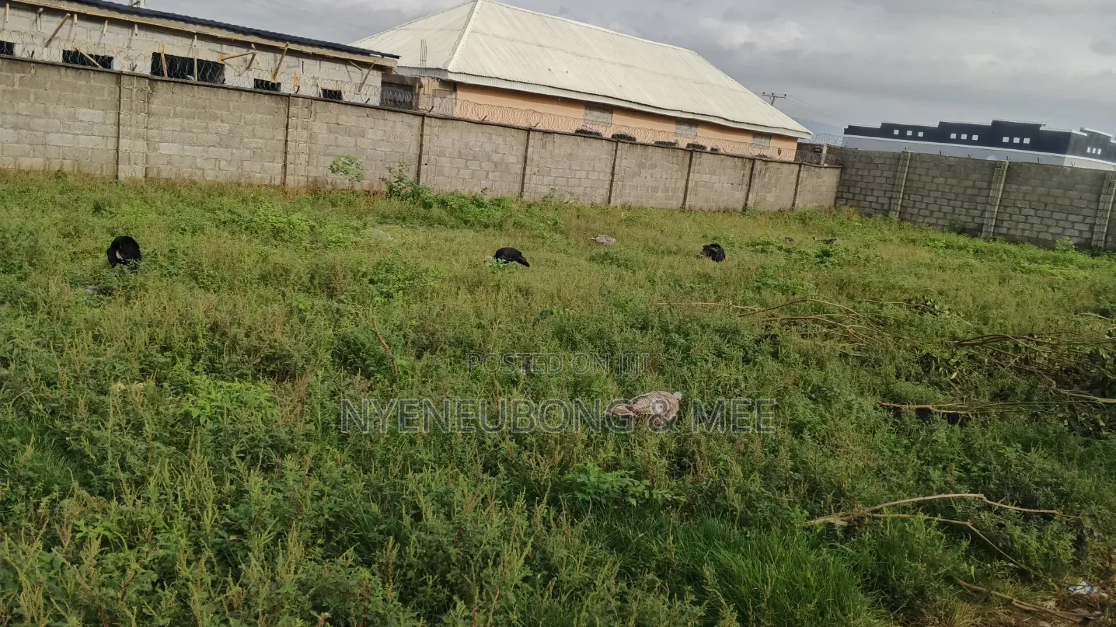 60/90sqm Land for Sale in Karu