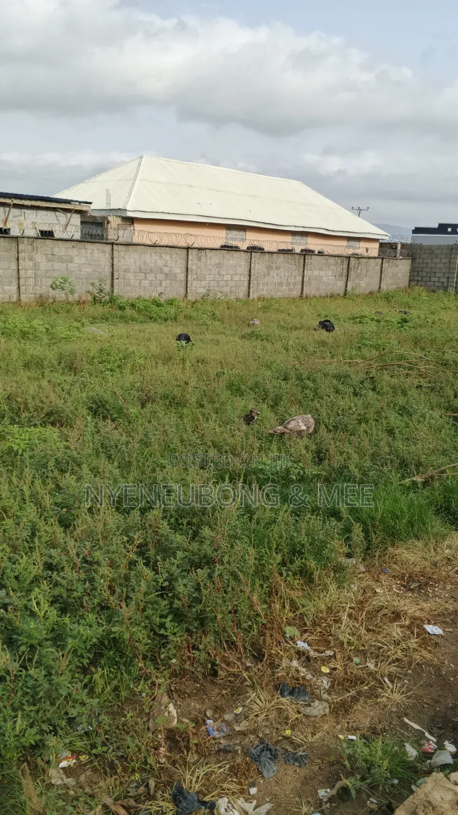 60/90sqm Land for Sale in Karu