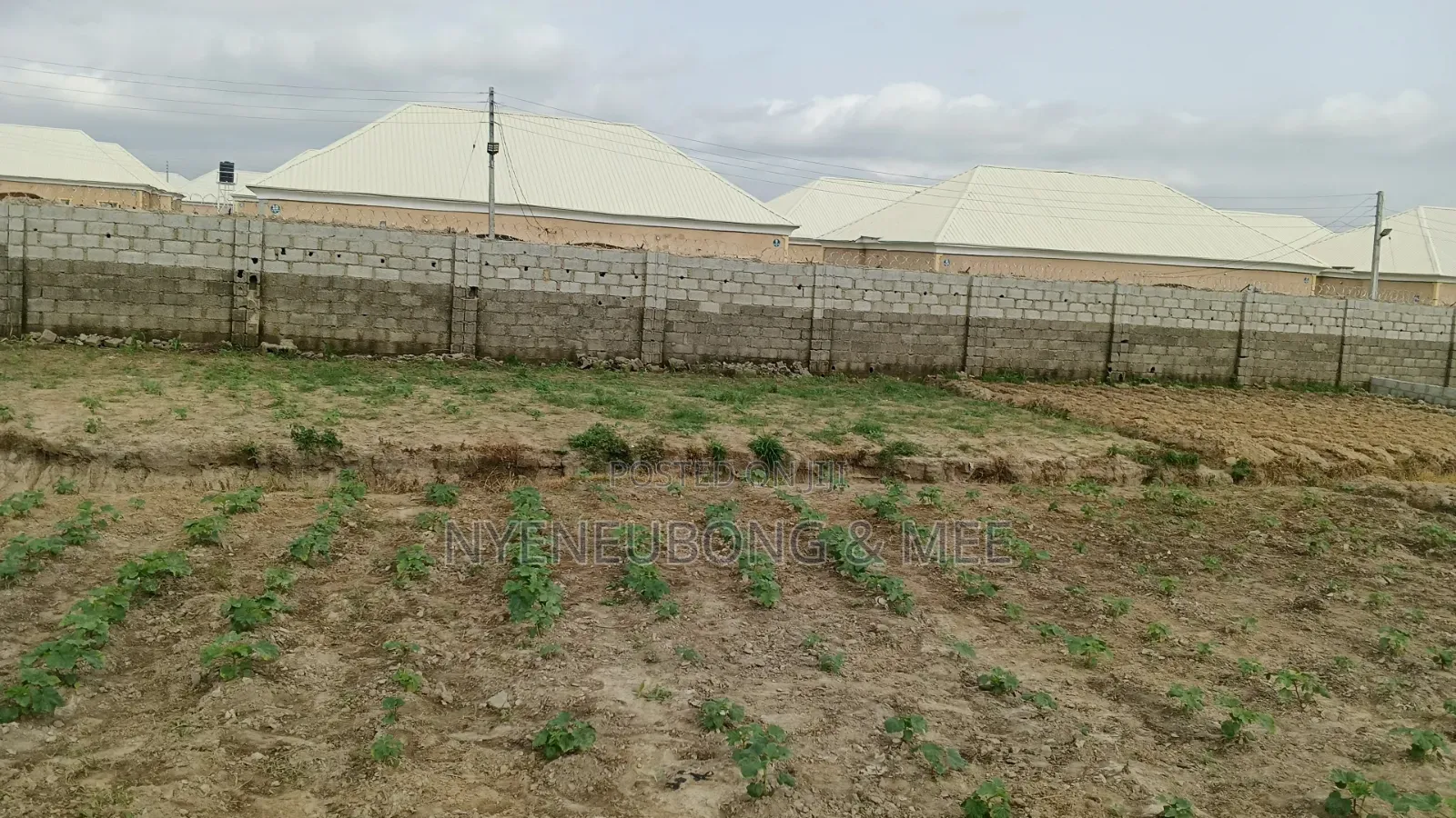 Virgin Land Behind Becky 2 Estate for Sale in Karu