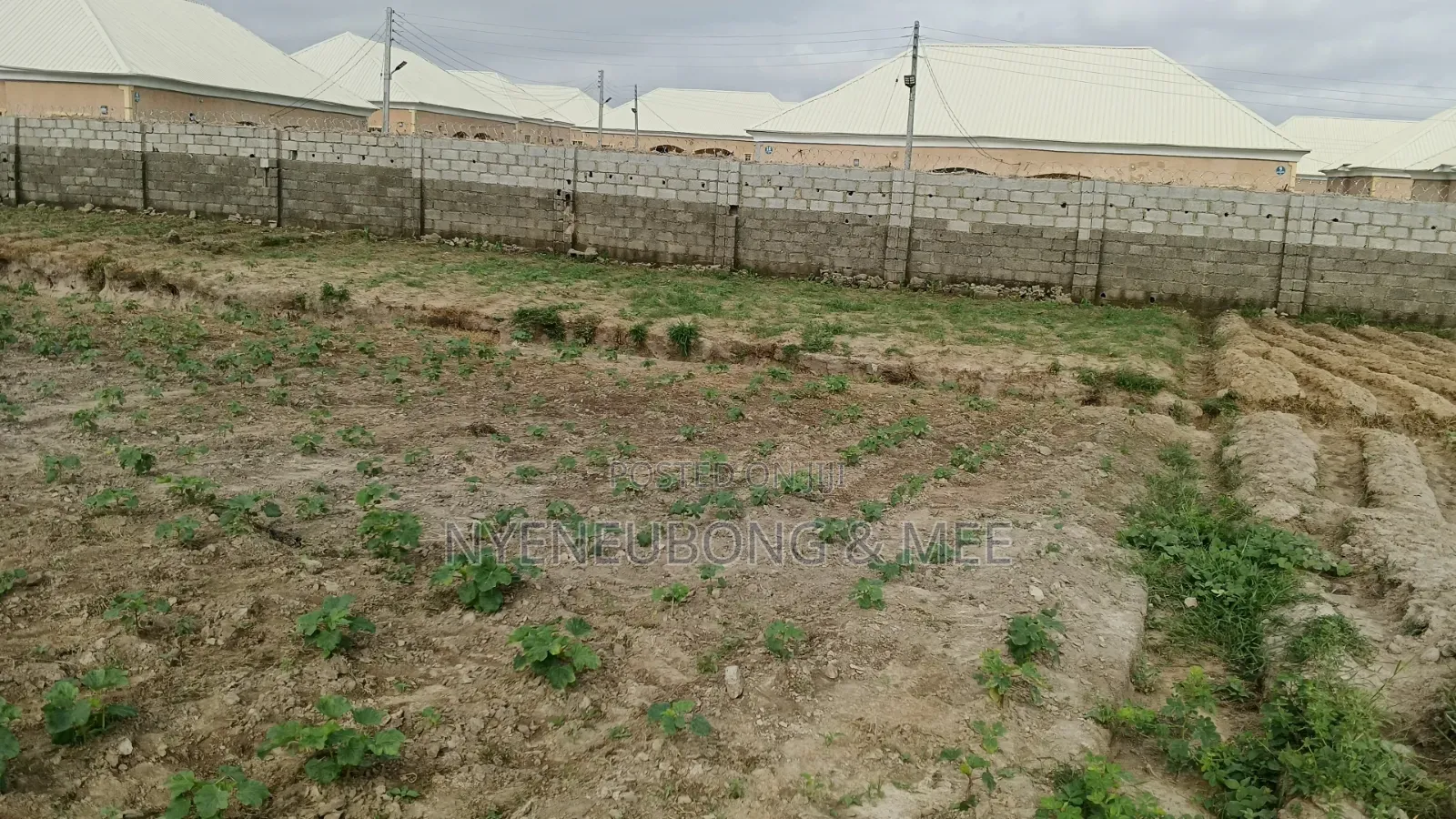 Virgin Land Behind Becky 2 Estate for Sale in Karu