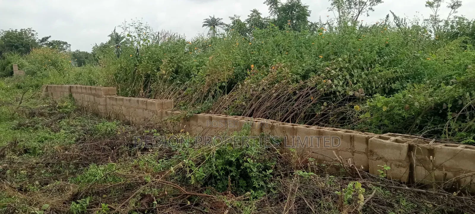 Moniya Ibadan Land With Registered Survey and Deed of Assignment in Akinyele