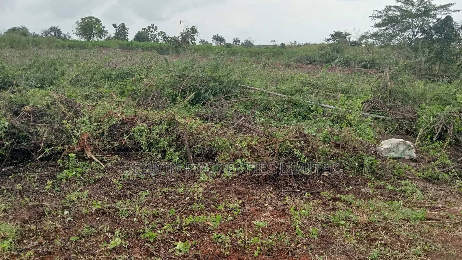 Moniya Ibadan Land With Registered Survey and Deed of Assignment in Akinyele