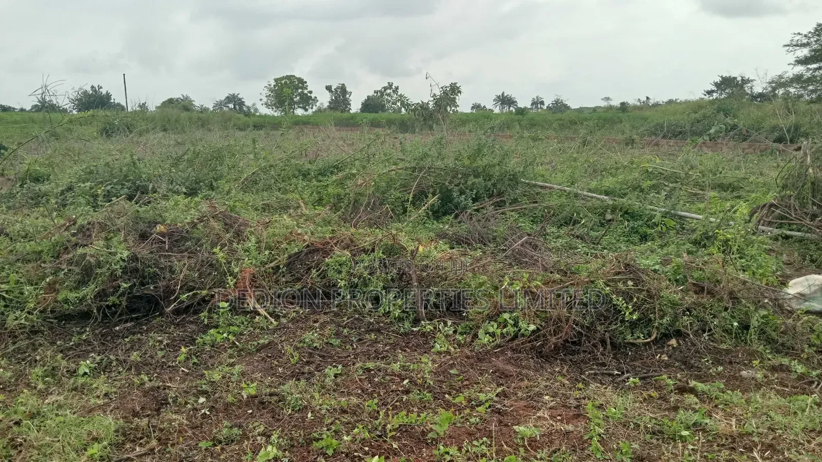 Moniya Ibadan Land With Registered Survey and Deed of Assignment in Akinyele