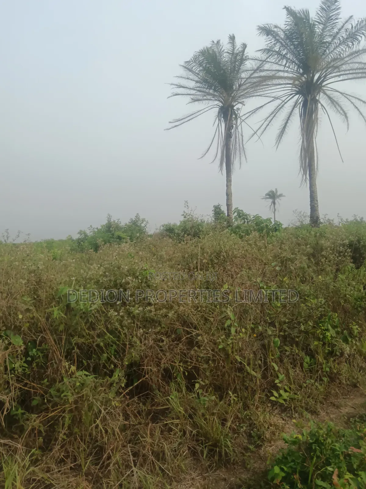 Awoyaya Land(Abn) With Excision in Awoyaya