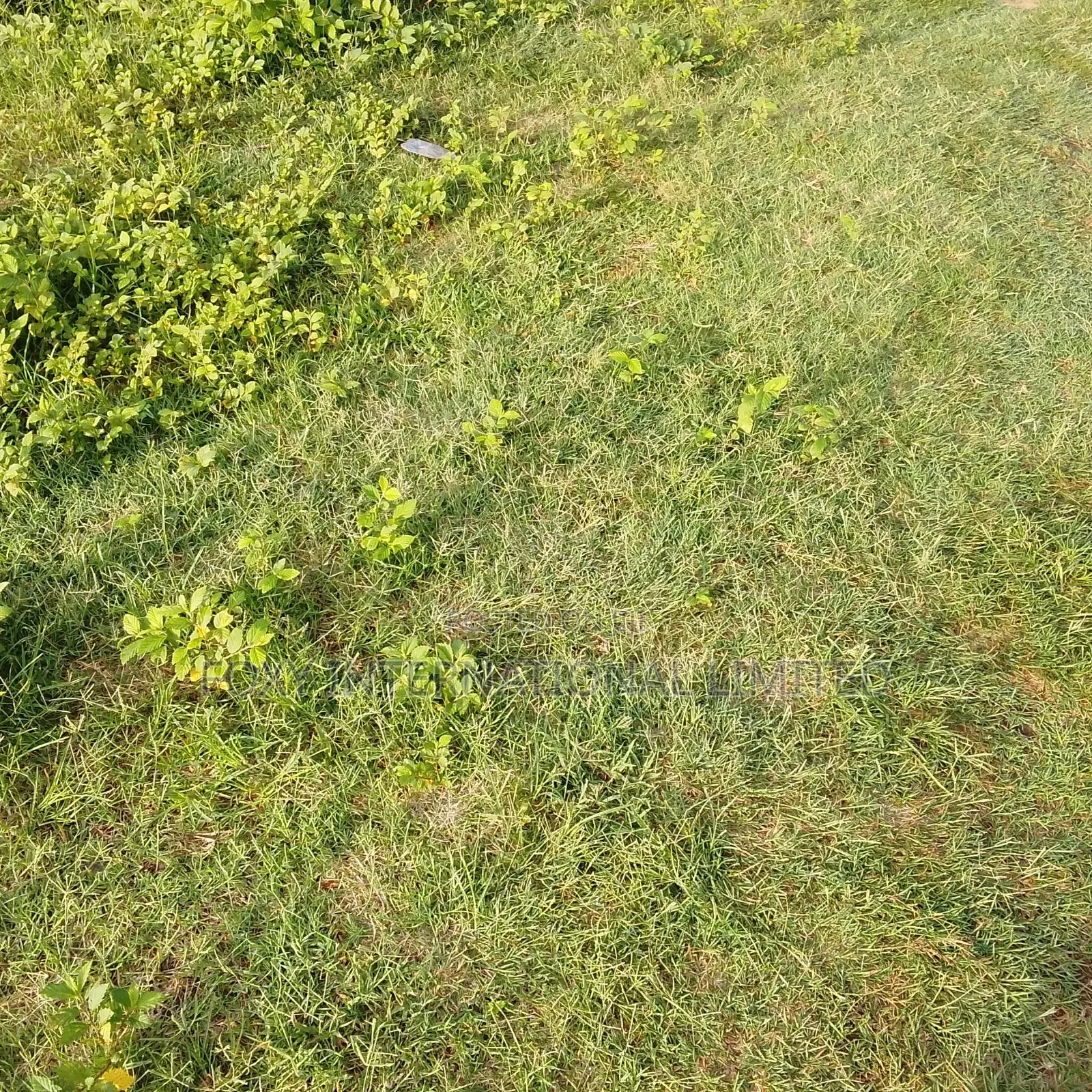 100 Hectares Land at Idu in Idu