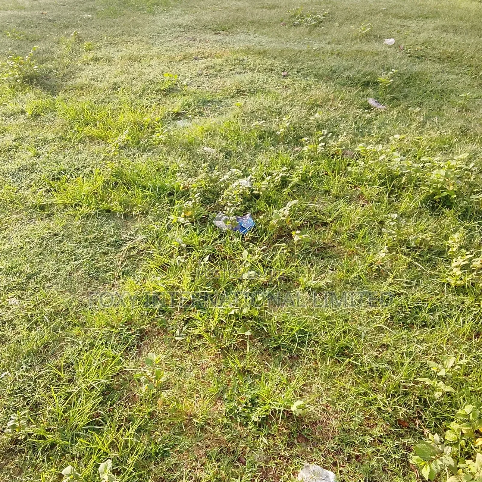 100 Hectares Land at Idu in Idu