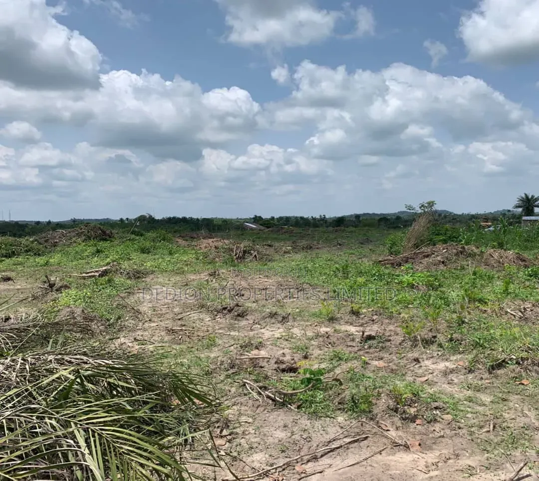 Imota Ikorodu Land With Registered Survey in Ijede / Ikorodu