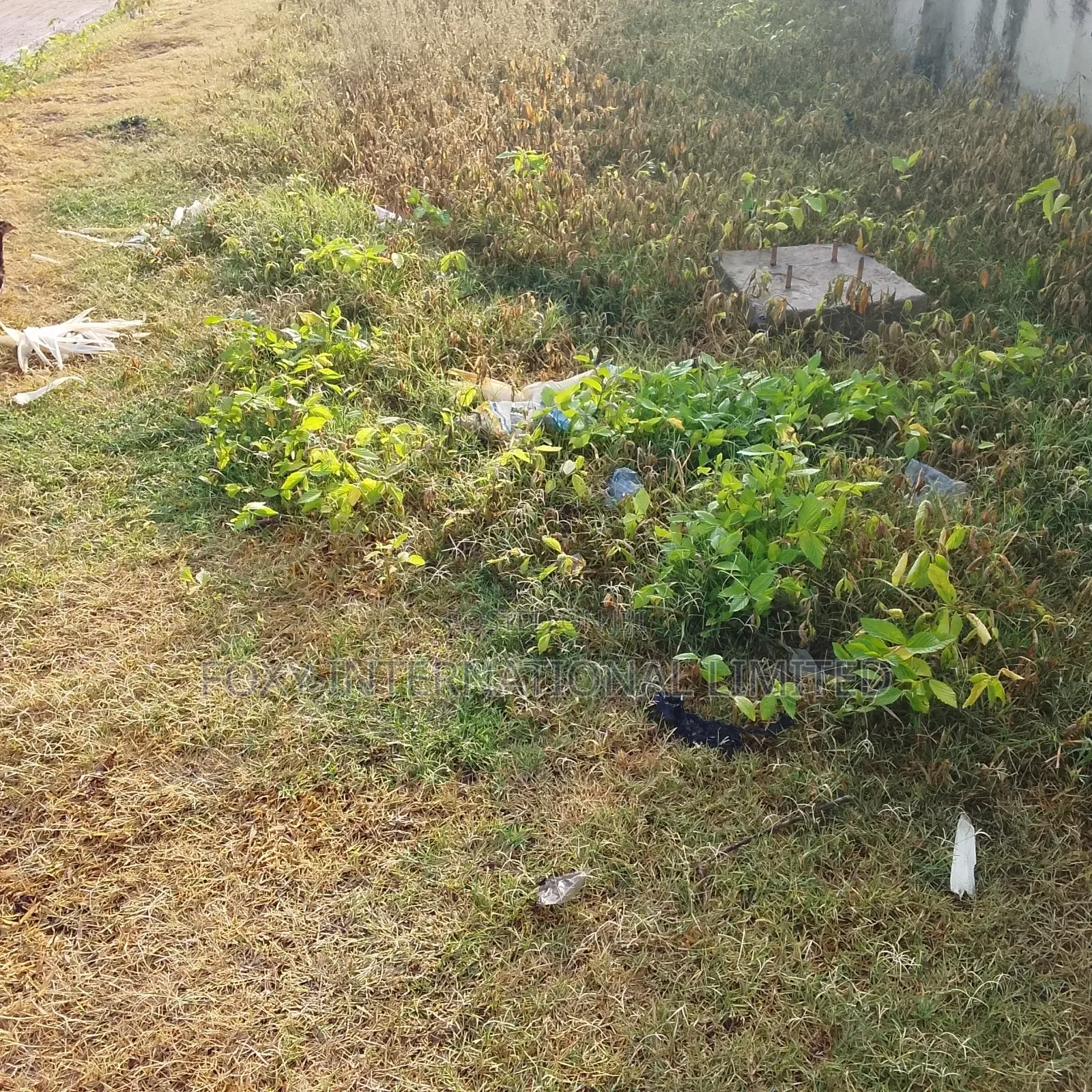 18.8 Hectares Katampe Extension Land in Katampe Extension