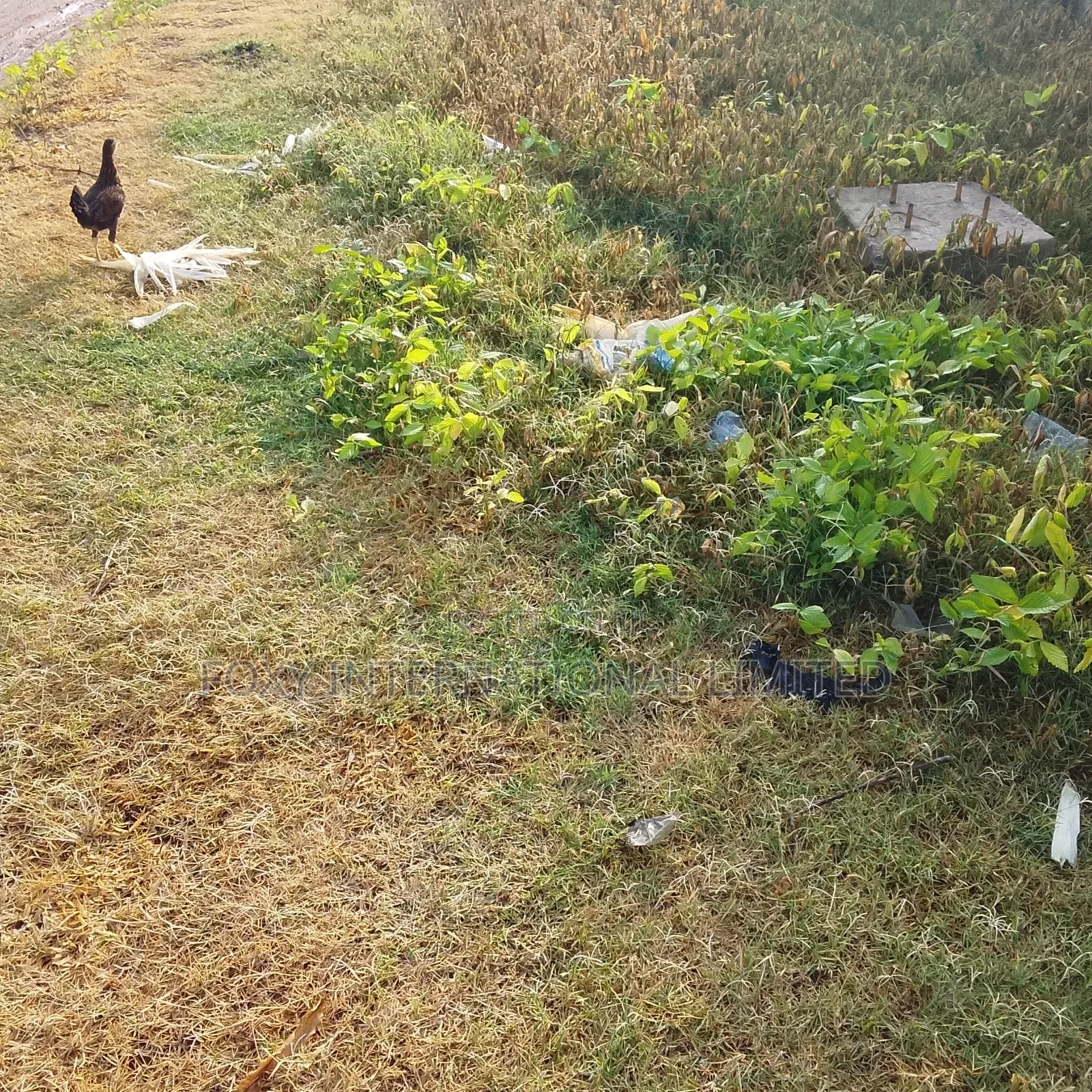 18.8 Hectares Katampe Extension Land in Katampe Extension