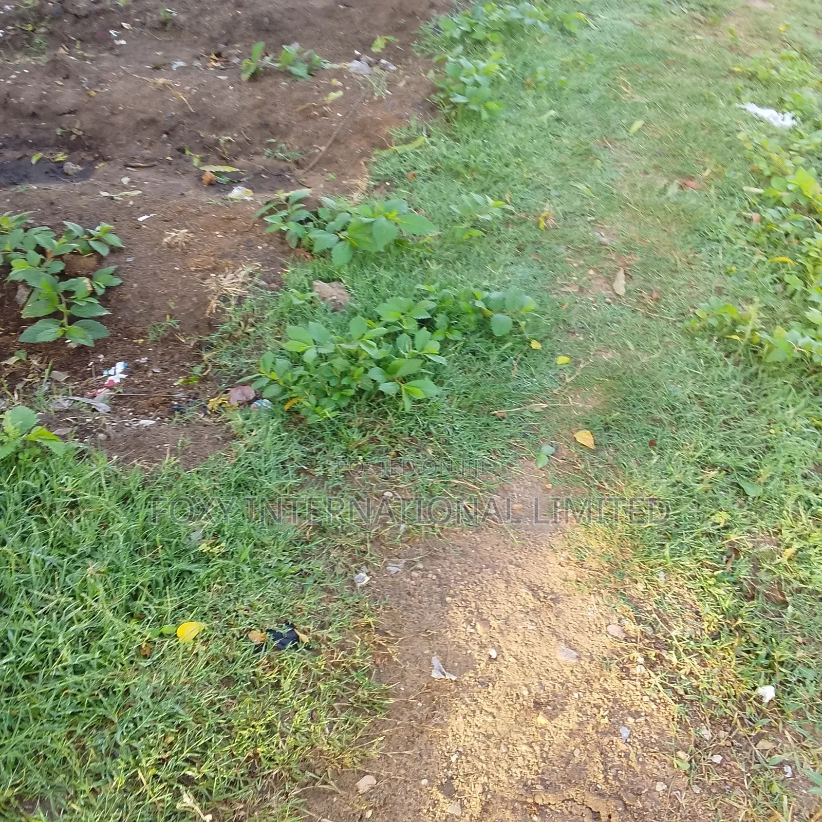 28 Hectares Land at Maitama2 in Maitama