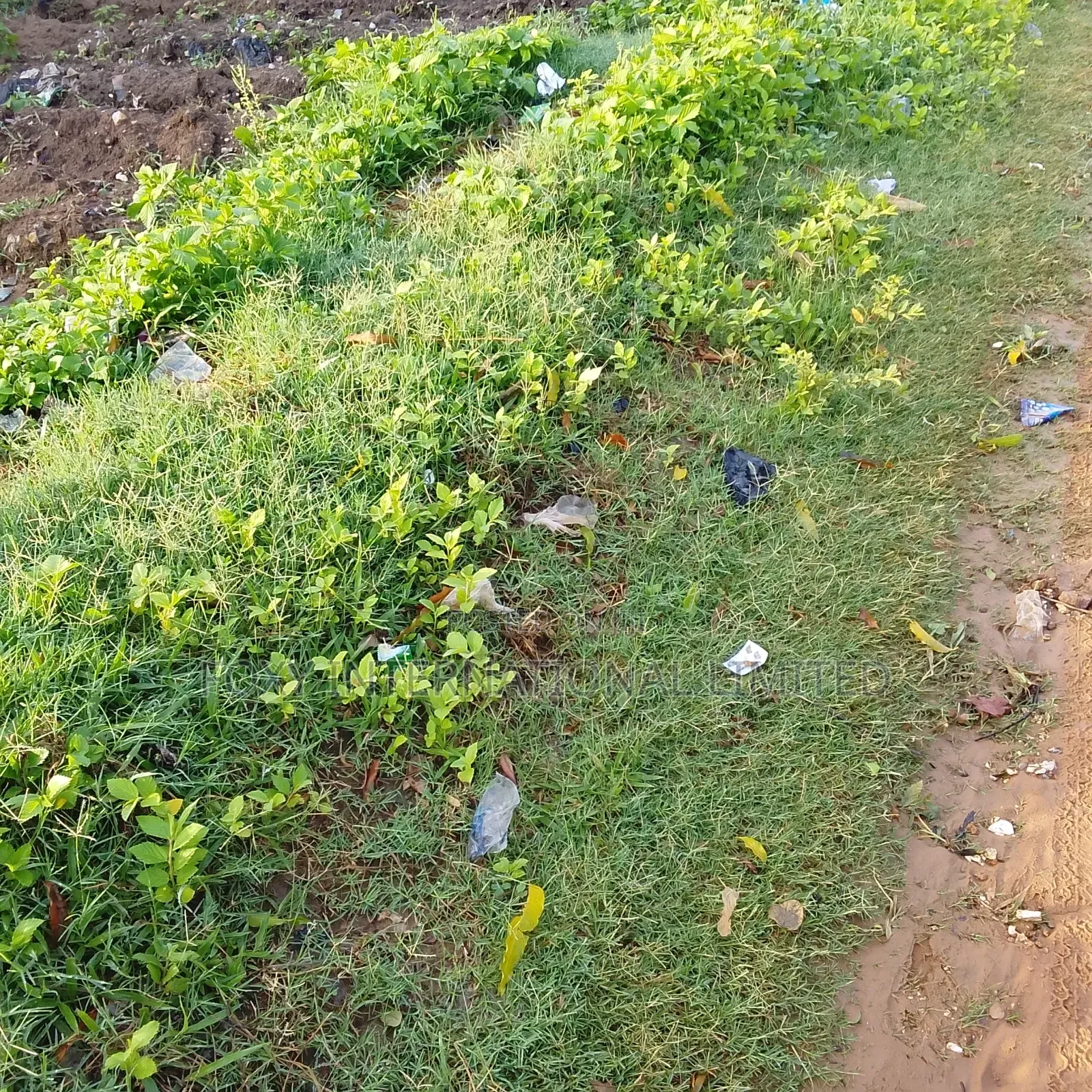Wasa 50 Hectares Land in Wasa
