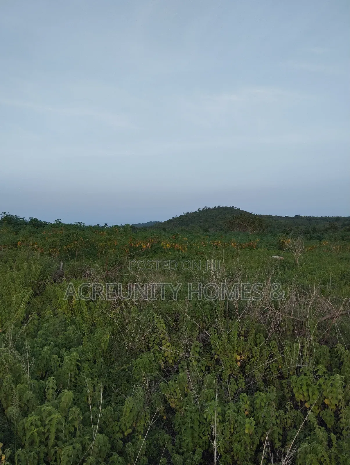 50 Acres of Land Available for Sale, Iseyin-Ogbomoso Express Way in Iseyin