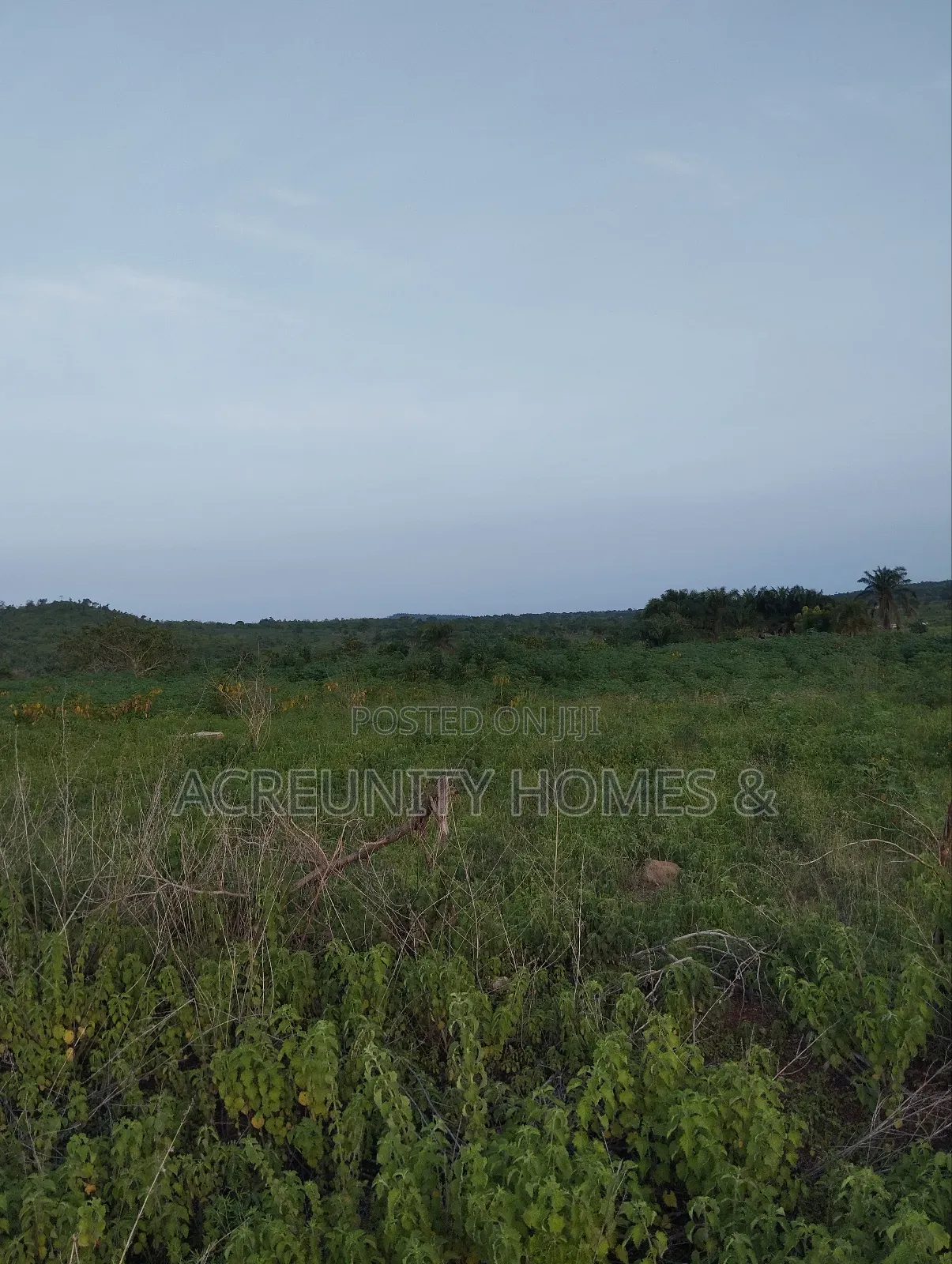 50 Acres of Land Available for Sale, Iseyin-Ogbomoso Express Way in Iseyin