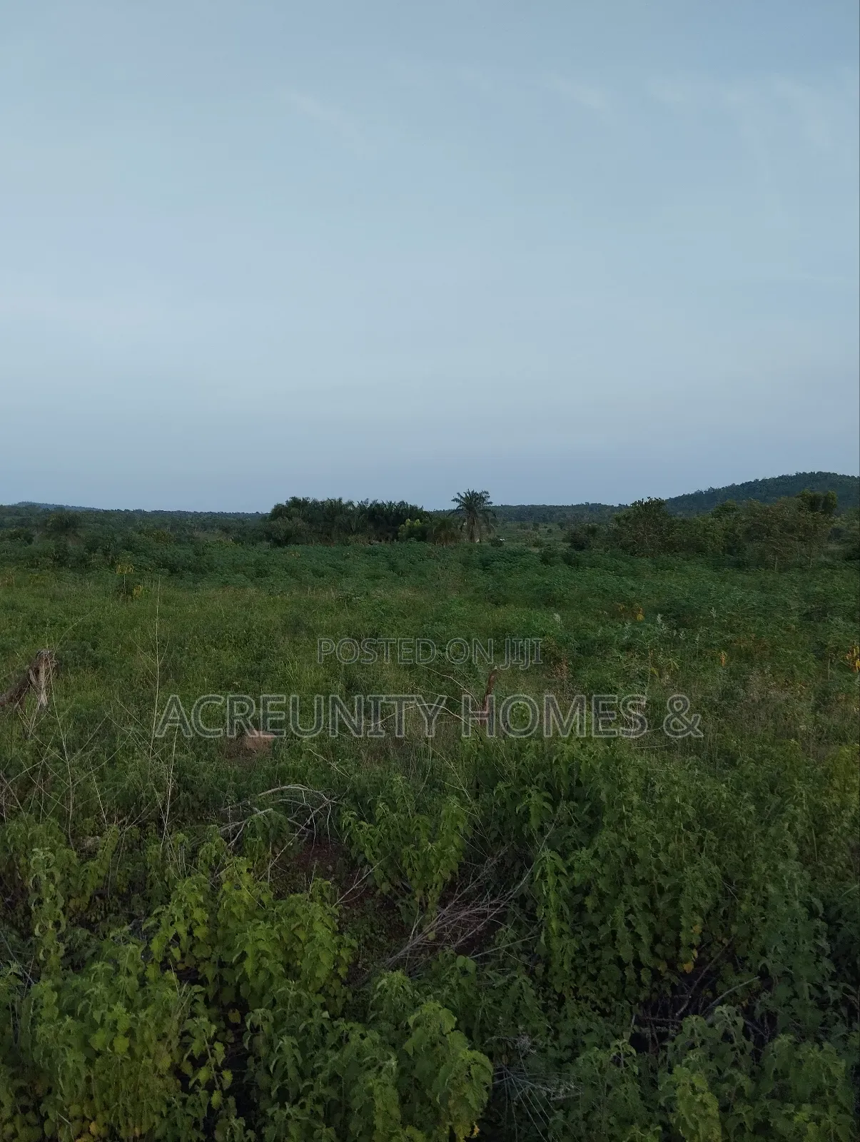 50 Acres of Land Available for Sale, Iseyin-Ogbomoso Express Way in Iseyin