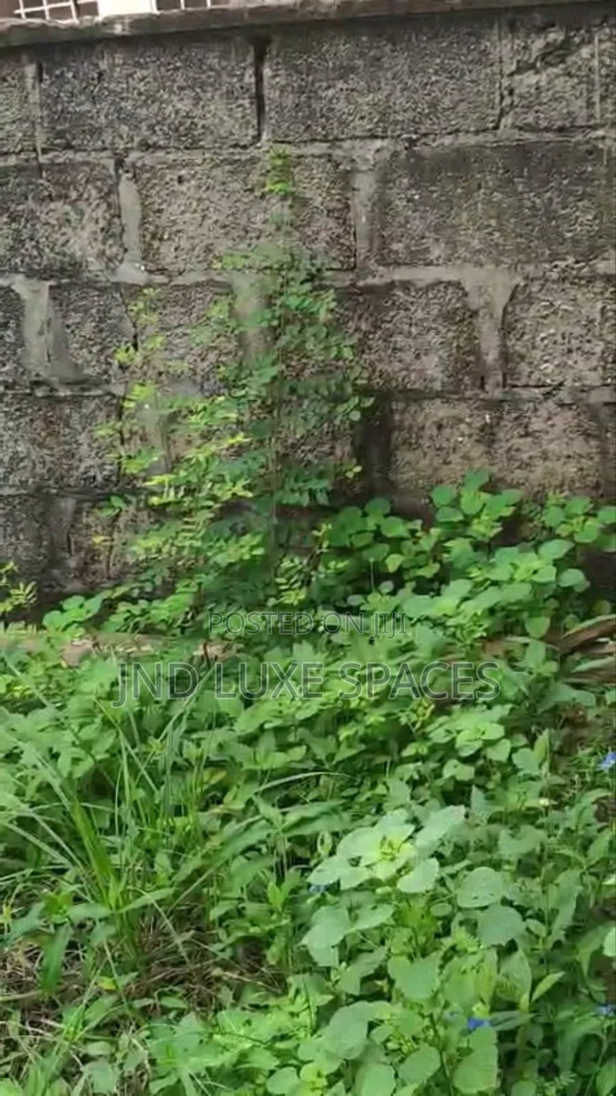 A Half Plot Bareland in a Serene Estate in Ifako-Gbagada