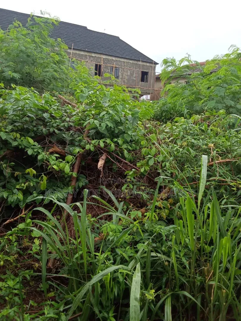 A Full Plot of Land in Ipaja / Ipaja