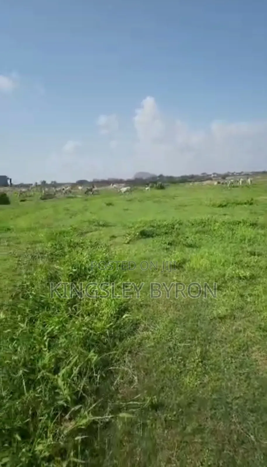 Direct Massive 100 Hectares for Outright Sales in Karsana