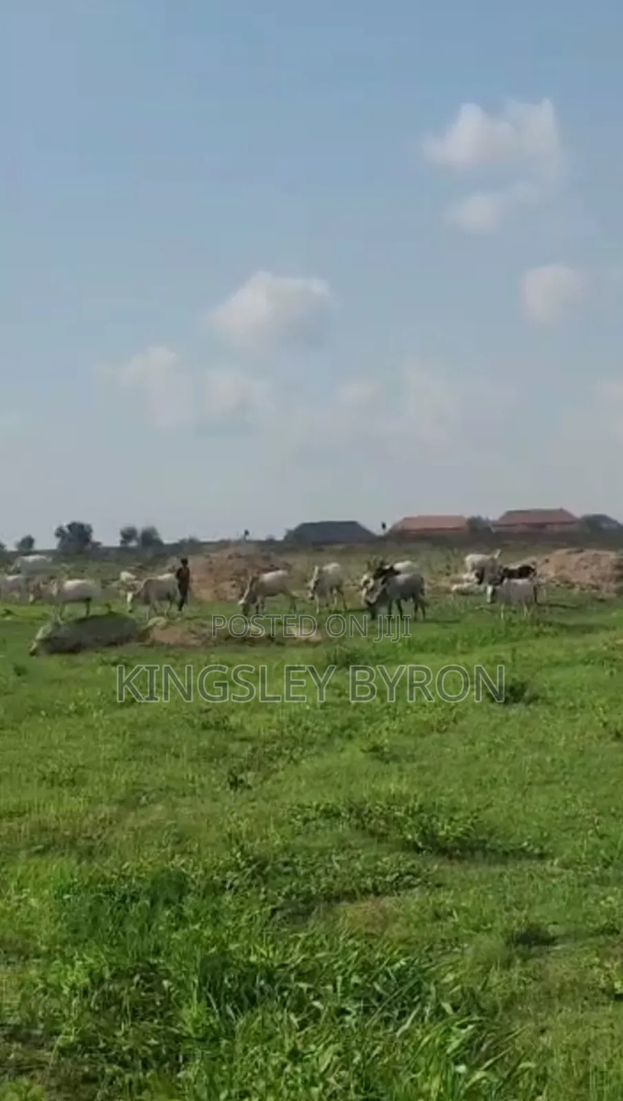Direct Massive 100 Hectares for Outright Sales in Karsana