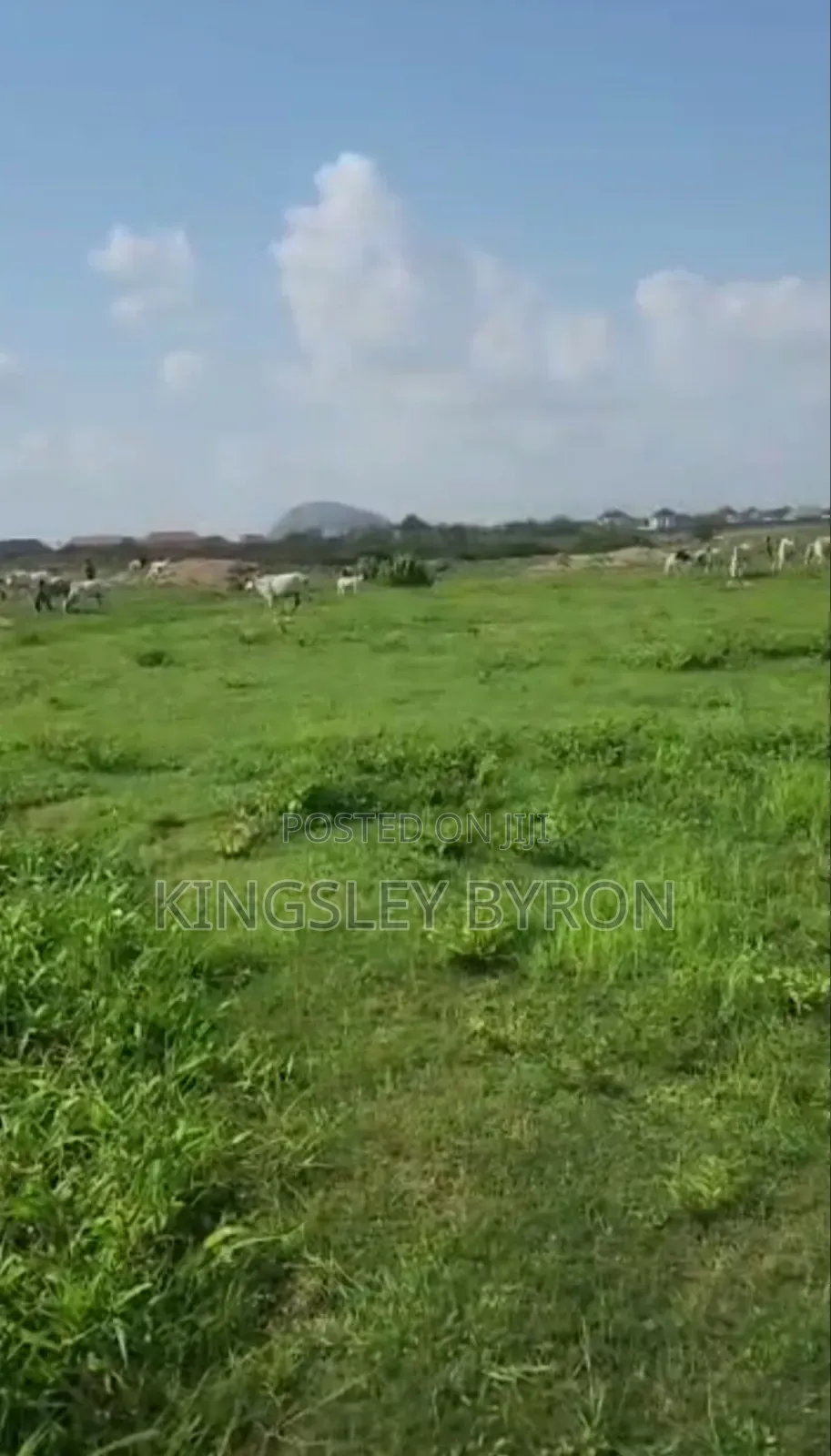 Direct Massive 100 Hectares for Outright Sales in Karsana